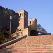 Janss Steps