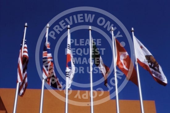 Tom Bradley Hall Flags