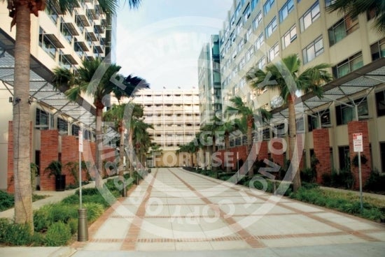 Rieber Court - Driveway