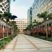 Rieber Court - Driveway