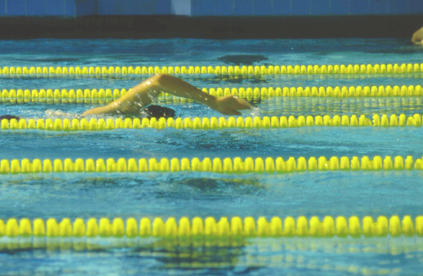 uclastudent_swimmingatwoodenrecreation